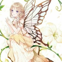 女主不是美星