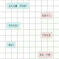 双胞胎抢妻