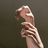 沈鹽
