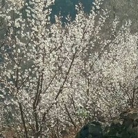 爱是一件奇怪的事