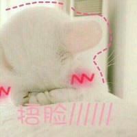 六嫂作品