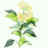 山海异