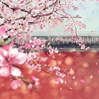 校园少年同人