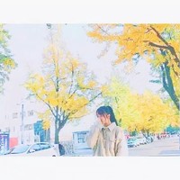 仙女句