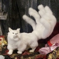 靈狐
