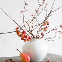 致读者