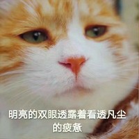 年下伪父子