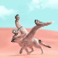 系统是个萌萌哒二货