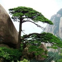 黃山