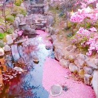 模仿版