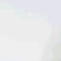 手帳