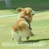 冷萌与贱嗖嗖