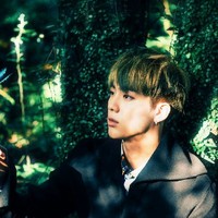 BTS金碩珍
