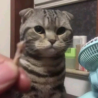 跑题