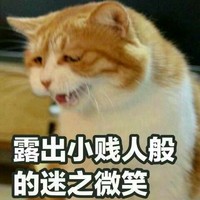 假玛丽苏