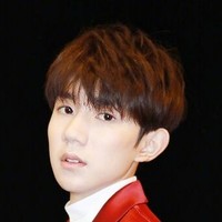 王源明星同人