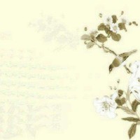 一人一月一空楼