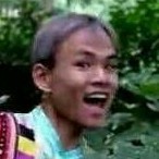 古代言情科幻