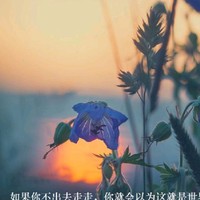 一部随心而发的小说