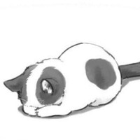 言皖