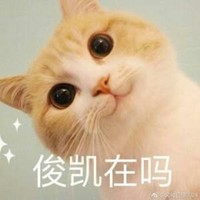 小猫猫