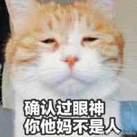 甜文教科书