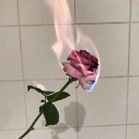 不伦的多角恋
