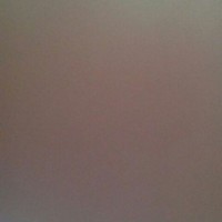 两个爱情白痴