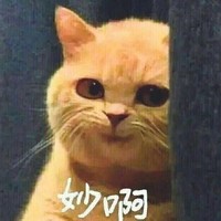 同人话本