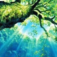 美麗圖片