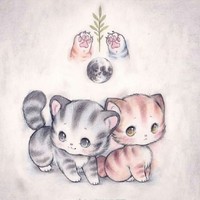 一个清纯小猫咪
