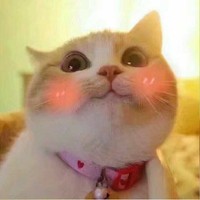 女主皮皮虾