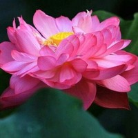 最虐仙侠剧