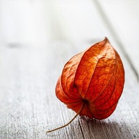 电灯泡