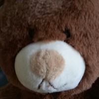 少年的冒险之路