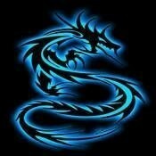 龍的世界