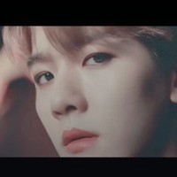 小狼崽攻略汐之