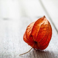 互相吸引