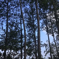鄉(xiāng)村趣事