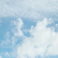 警匪犯罪爱情人性