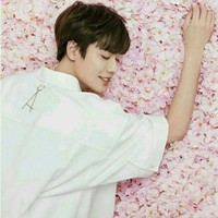 大明星朱正廷