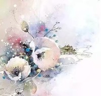 感情是朵双生花