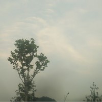 那年我们走过的青春