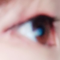 3275392282