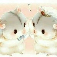 导航