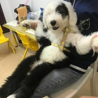 米熱