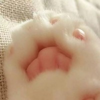 女主成年之后恋爱