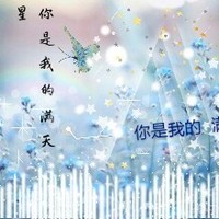那片滿天星花海