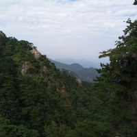 语言艺术