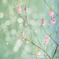 灿白勋兴仁